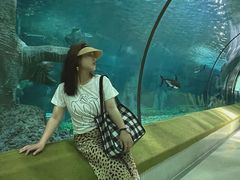 -福州罗源湾海洋世界旅游区