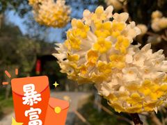 -常德桃花源景区
