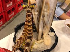 花竹虾-鲜入围煮花胶鸡海鲜火锅