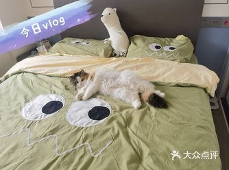 小猫咪和宝总泡饭（简易版）开启新的一天。