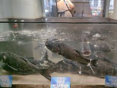 -上名堂·鱼头好吃(体育场路店)