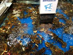 -盒马鲜生(红莲店)
