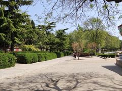 -保定市动物园