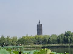 -西海子公园