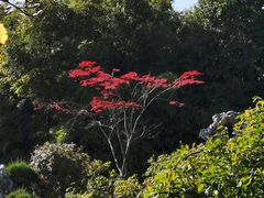 -清晏园