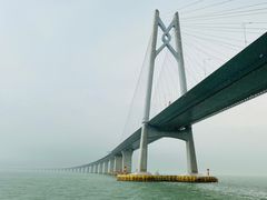 -招商蛇口邮轮母港(观光客运)