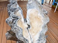 -蓝湾碧波·老字号·疍家非遗海上餐厅