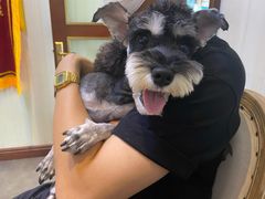 -宠爱国际动物医院· 猫科· 外科·中兽医(长白店)