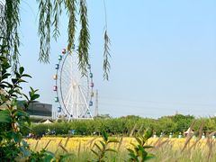 -百万葵园