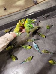 -酷嗒动物文化乐园(cutezoo西溪乐天城店)