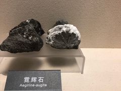 -安徽省地质博物馆