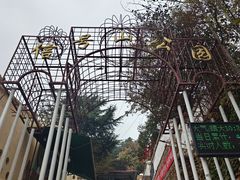 -信号山公园