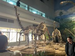 -自贡恐龙博物馆