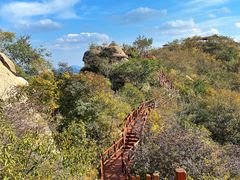 -大岭沟猕猴桃谷风景区