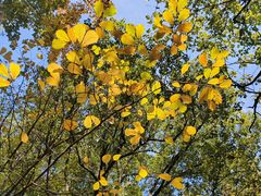 -杭州半山国家森林公园