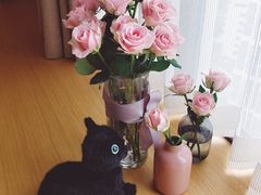 -茶马花街(城西银泰城店)