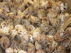 -圆蛋酒料•生腌(开元路店)