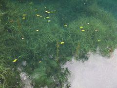 -叠溪松坪沟景区