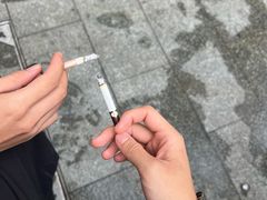 -叶家花园