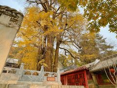 -潭柘寺景区