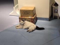 -全心全意动物诊疗中心医院(北苑店)