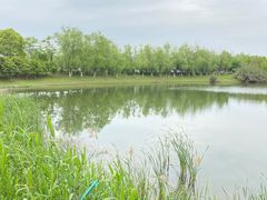 -艾溪湖湿地公园