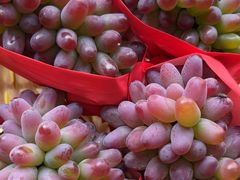 -马陆小张葡萄园农家乐