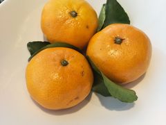 -悦融·京鲁菜·露台花园(安定门店)