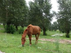 -库伦旗银沙湾旅游景区