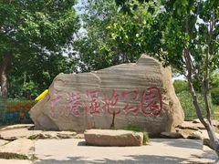 -大港湿地公园