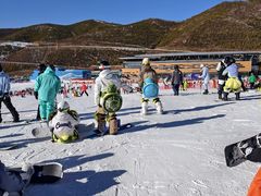 -东方巨龟苑景区