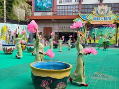 -西双版纳原始森林公园