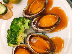 鲍汁扣大连鲍鱼-东江海鲜酒家(艺都分店)