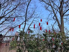 -晋江五店市传统文化旅游区