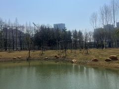 -后襄河公园