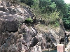 -广州白江湖森林公园