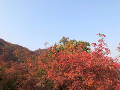 -周口店坡峰岭风景区