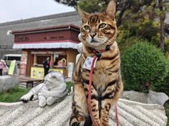-长安大牌档之上元灯会(南大街店)