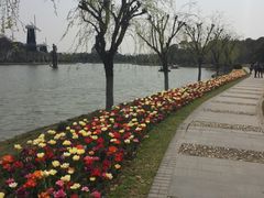 -上海鲜花港