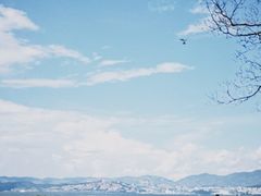 -洱海月湿地公园
