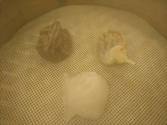 -德发长饺子·非遗(钟楼店)