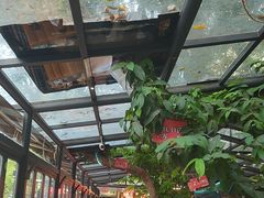 -海岛八号龙虾烧烤田鸡(蓝天路总店)