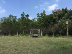 -梁鸿国家湿地公园