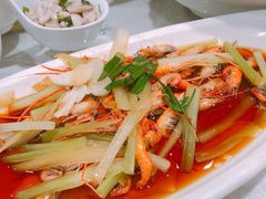 -天福苑(崇宁路店)