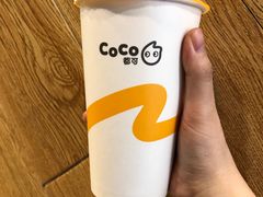 布丁奶茶-CoCo都可(铁西万达店)