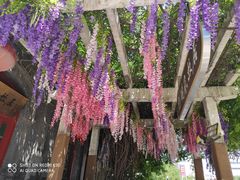 -晋阳饭庄(虎坊桥店)