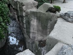 -西苑公园