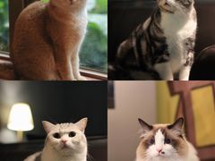 -咖法森林·咖啡  酒吧(天河店)