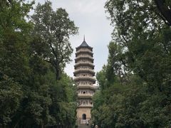 -灵谷景区