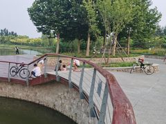 -东郊湿地公园